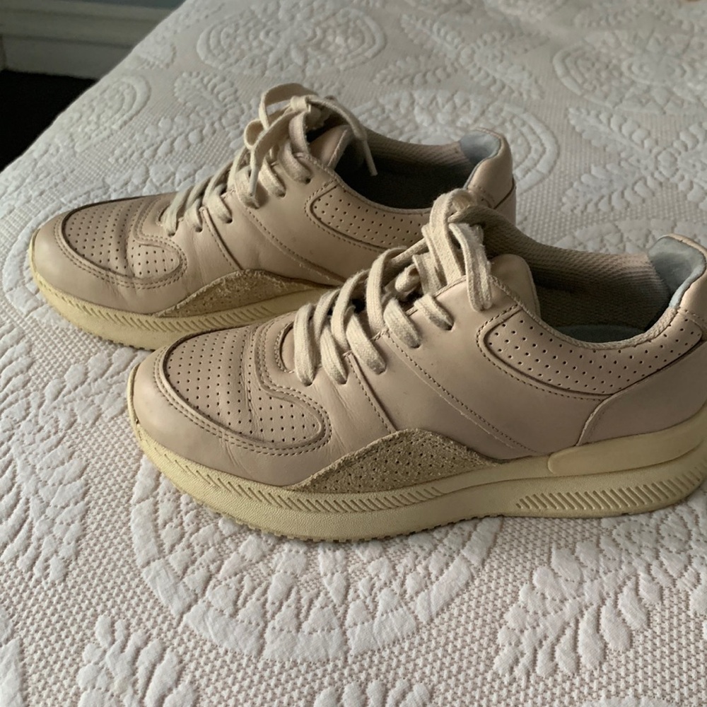 Everlane leather sneakers